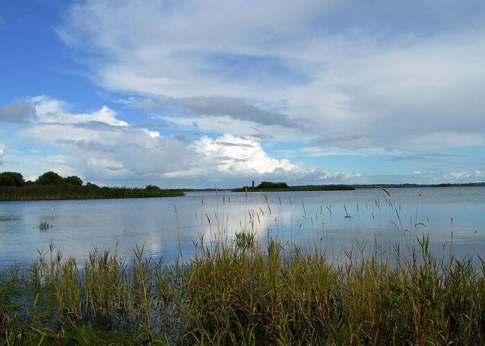 Ireland Greeting Card featuring the photograph River Shannon At Hodson Bay. by Terence Davis