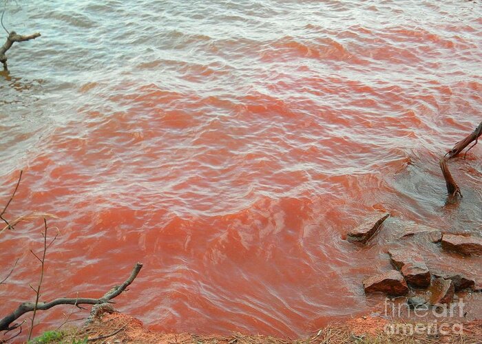 Revelation Blood Greeting Card featuring the photograph Rivers of Blood Revelation by Matthew Seufer