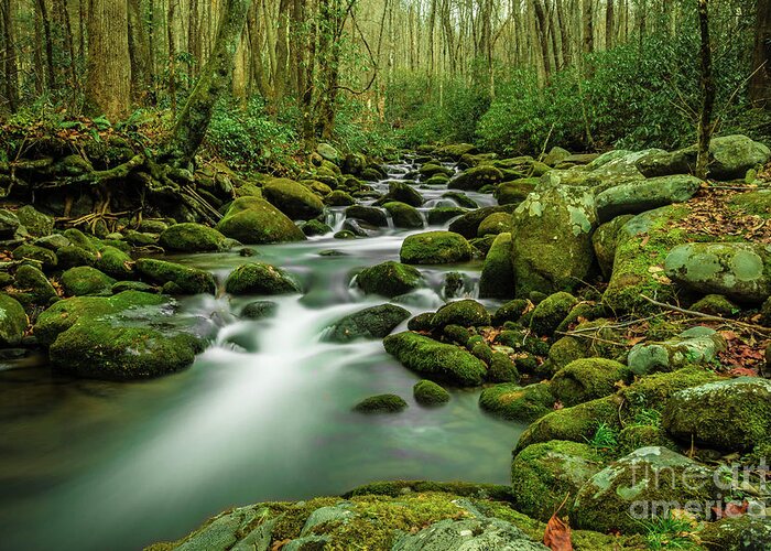 Creek Greeting Card featuring the photograph Roaring Fork by George Kenhan