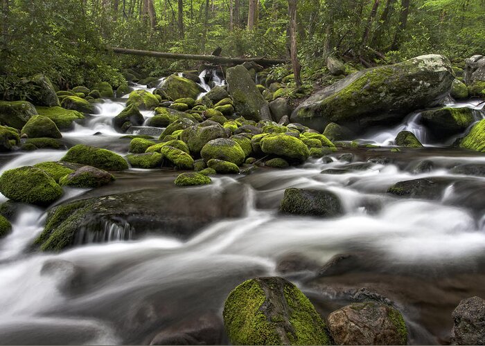 Roaring Fork Greeting Card featuring the photograph Roaring Forks River by Ken Barrett