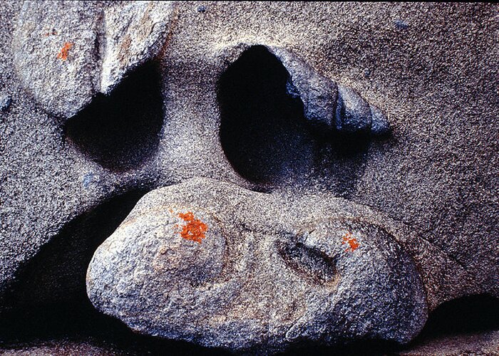Face Greeting Card featuring the photograph Rock Face by Ted Keller