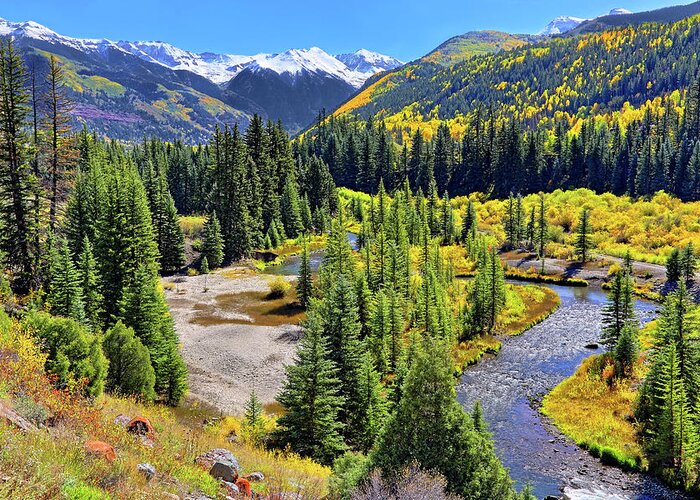 Colorado Greeting Card featuring the photograph Rockies and Aspens - Colorful Colorado - Telluride by Jason Politte