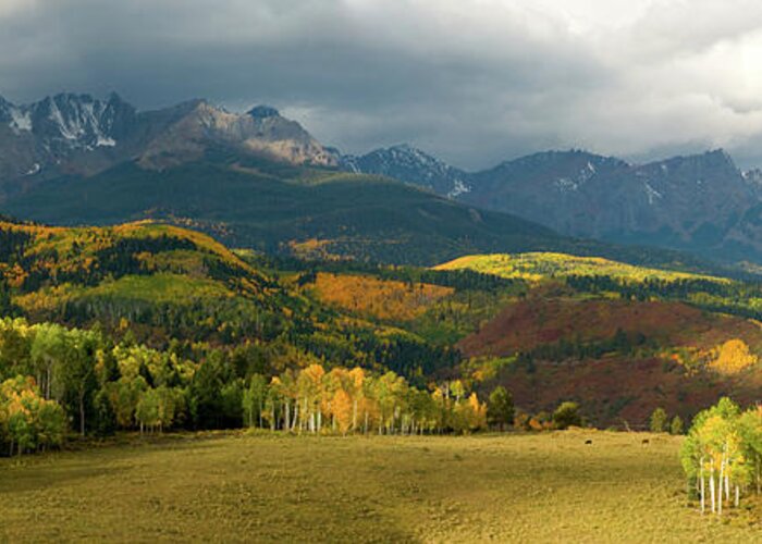 Rocky Mountains Greeting Card featuring the photograph Rocky Mountain Fall by Steve Stuller