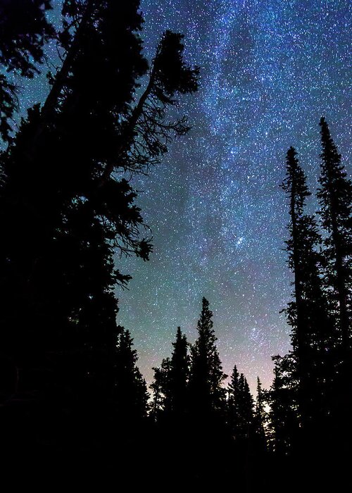 Stars Greeting Card featuring the photograph Rocky Mountain Forest Night by James BO Insogna