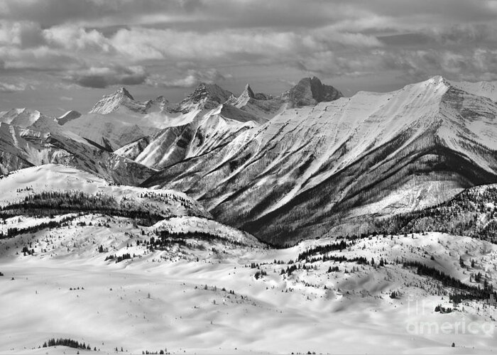Banff Greeting Card featuring the photograph Rocky MOuntain Views From The Slopes Of Sunshine Black And White by Adam Jewell