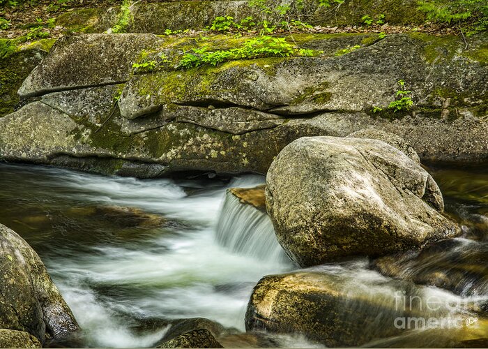 Rocky Stream Greeting Card featuring the photograph Rocky Stream by Alana Ranney