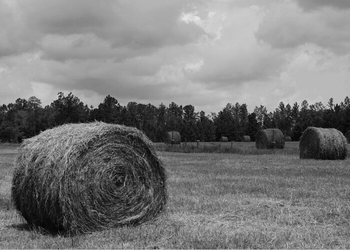 Hay Field Greeting Card featuring the photograph Rolls of Hay by Southern Photo