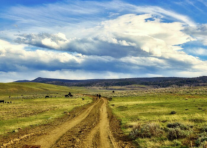 Ranch Greeting Card featuring the photograph Room To Roam - Wyoming by Mountain Dreams