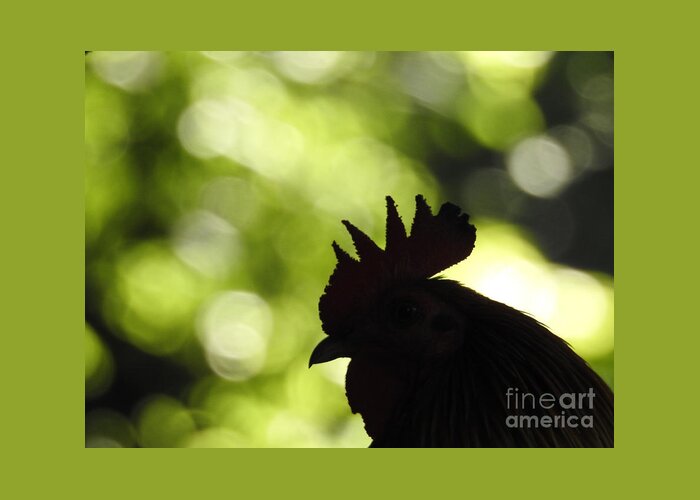 Rooster Greeting Card featuring the photograph Rooster Silhouette by Jan Gelders