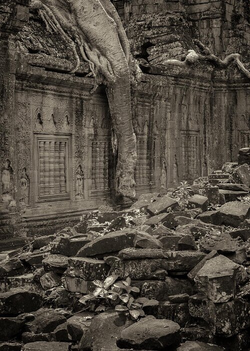 Angkor Greeting Card featuring the photograph Roots in Ruins 6, Ta Prohm, 2014 by Hitendra SINKAR