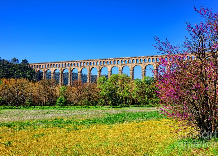 Roquefavour Greeting Card featuring the photograph Roquefavour Aqueduct by Olivier Le Queinec
