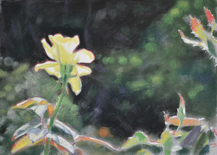Art Greeting Card featuring the pastel Rose 37 by Christopher Reid