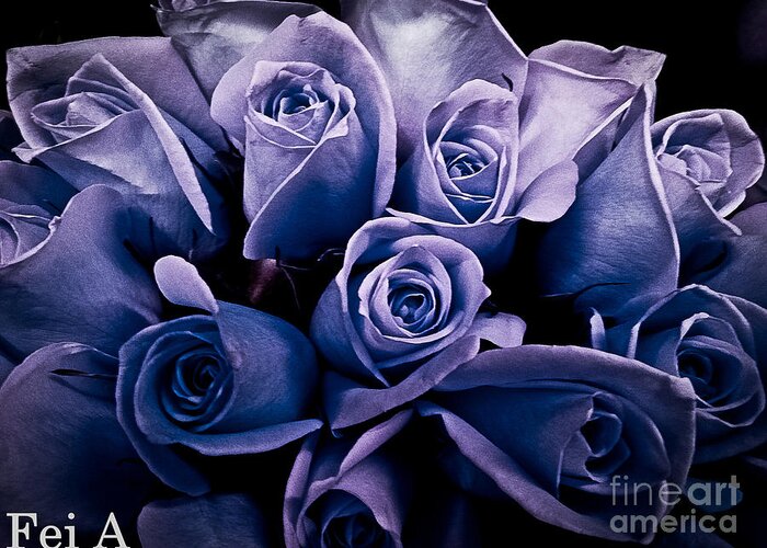 Rose Greeting Card featuring the photograph Purple Memories by Fei A