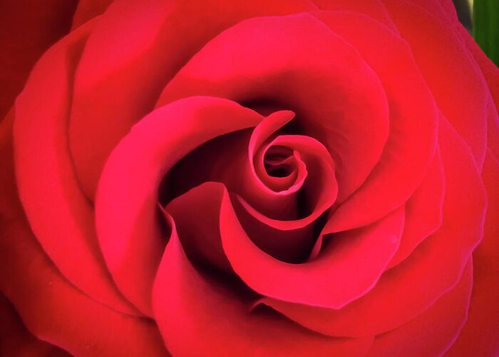 Art Greeting Card featuring the photograph Rose Red 1 by Ronda Broatch