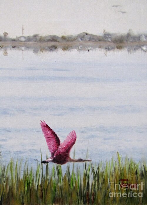 Roseate Spoonbill Greeting Card featuring the painting Roseate Spoonbill Flight Over the Bay by Jimmie Bartlett