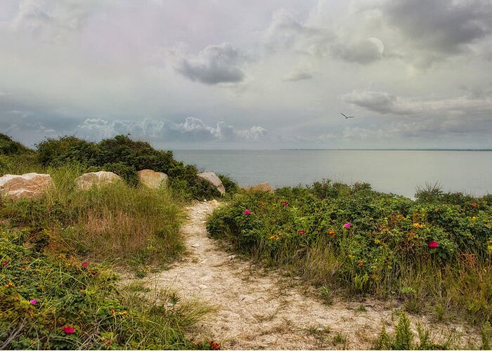 Roses Greeting Card featuring the photograph Roses by the Sea by Robin-Lee Vieira