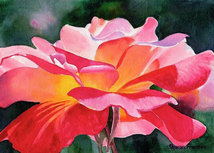 Rose Watercolor Greeting Card featuring the painting Rosy Red Rose Blossom by Sharon Freeman