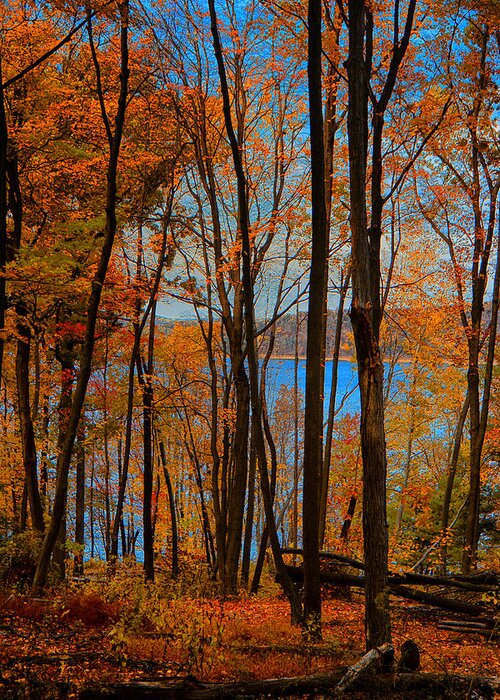 Round Valley State Park Greeting Card featuring the photograph Round Valley State Park 5 by Raymond Salani III