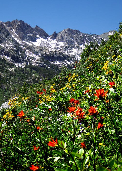 Island Lake Greeting Card featuring the photograph Ruby Mountain Wildflowers - Vertical by Alan Socolik
