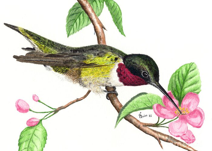 Hummingbird Greeting Card featuring the painting Ruby-throated Hummingbird by Lynn Quinn