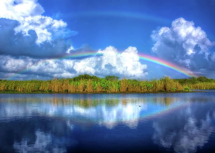 Rainbow Greeting Card featuring the photograph Rue's Rainbow by Mark Andrew Thomas