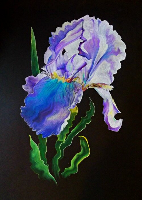 Flower Greeting Card featuring the drawing Ruffled Iris by David Neace CPX
