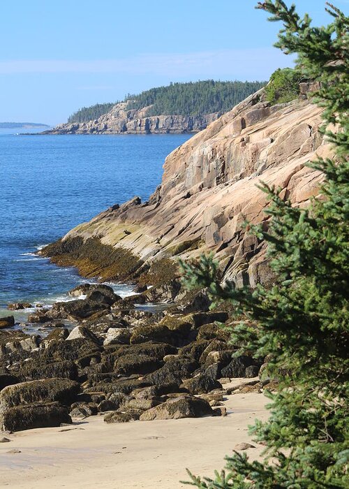 Acadia National Park Greeting Card featuring the photograph Rugged Coastline by Living Color Photography Lorraine Lynch