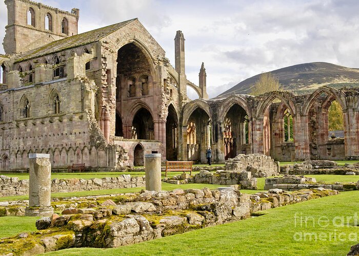 Melrose Abbey Greeting Card featuring the photograph Ruins. Melrose Abbey. by Elena Perelman