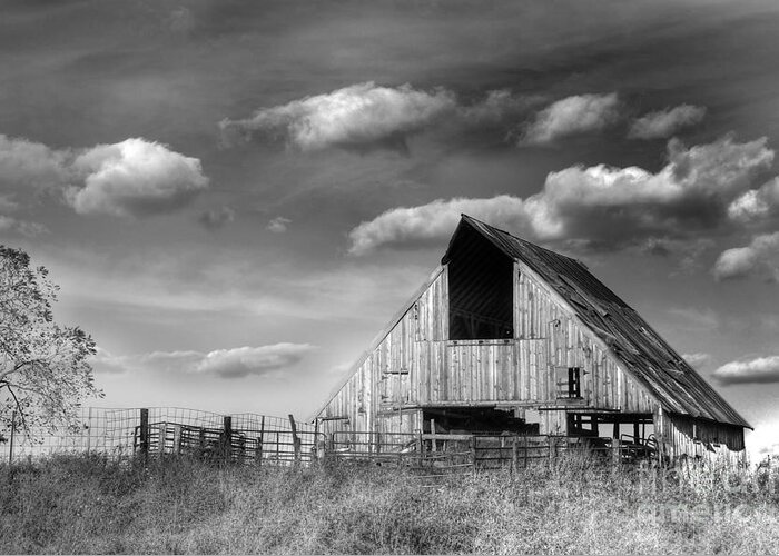 Barn Greeting Card featuring the photograph Rural by Thomas Danilovich