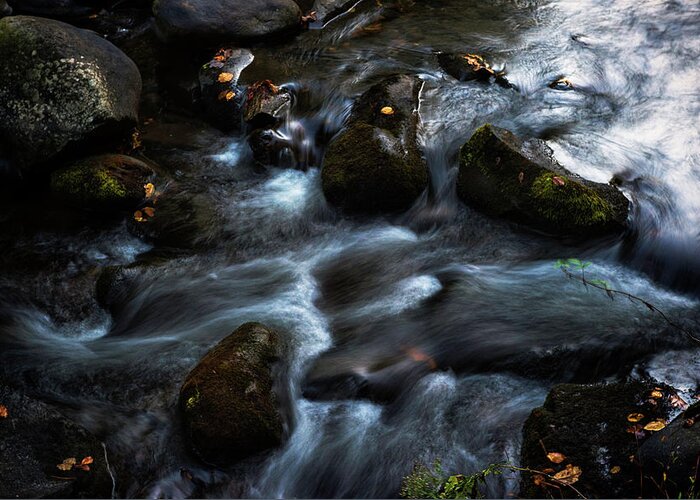Rocks Greeting Card featuring the photograph Rushing Stream by Norman Reid