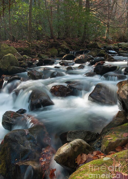 Water Greeting Card featuring the photograph Rushing Waters by David Waldrop
