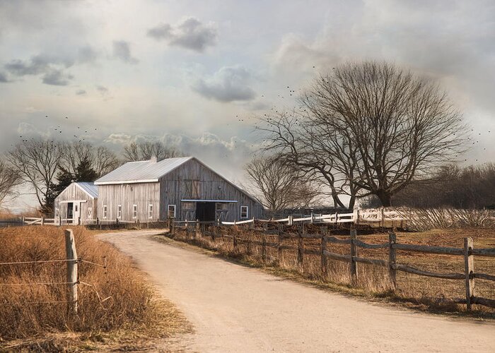Farm Greeting Card featuring the photograph Rustic Lane by Robin-Lee Vieira