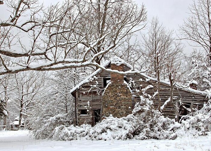 Winter Greeting Card featuring the photograph Rustic Winter Cabin by Benanne Stiens