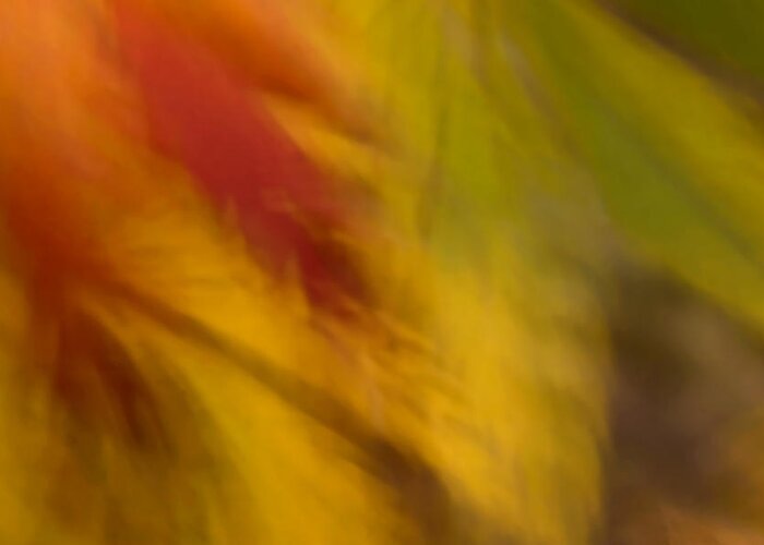 Abstract Greeting Card featuring the photograph Rustling Leaves by Margaret Denny
