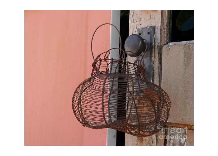 Basket Greeting Card featuring the photograph Rusty Wire Basket by Patricia Strand
