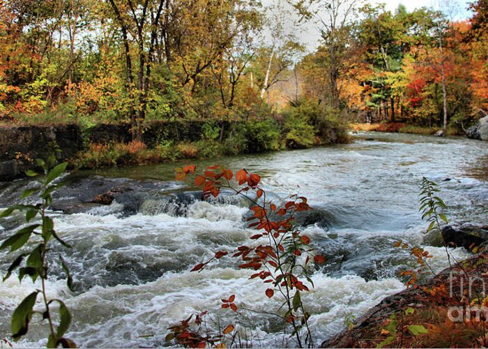 Landscape Greeting Card featuring the photograph Sabattus River in Fall Panorama by Sandra Huston