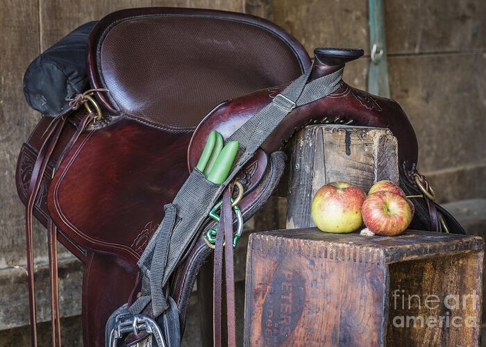 Saddle Greeting Card featuring the photograph Saddle Time by Joann Long