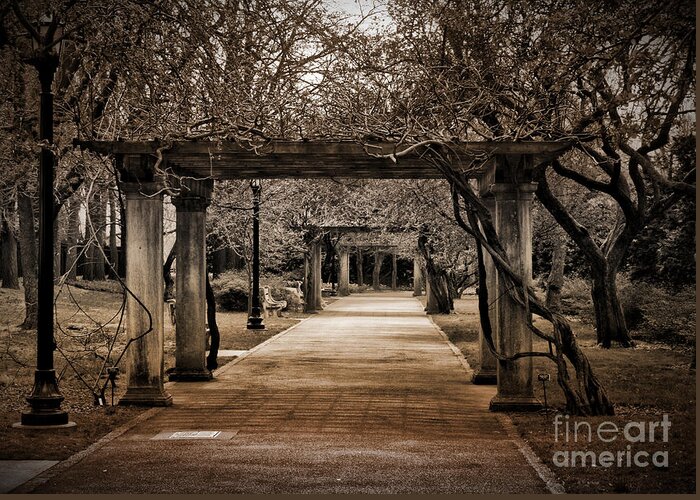 Passage Greeting Card featuring the photograph Safe Passage by Onedayoneimage Photography