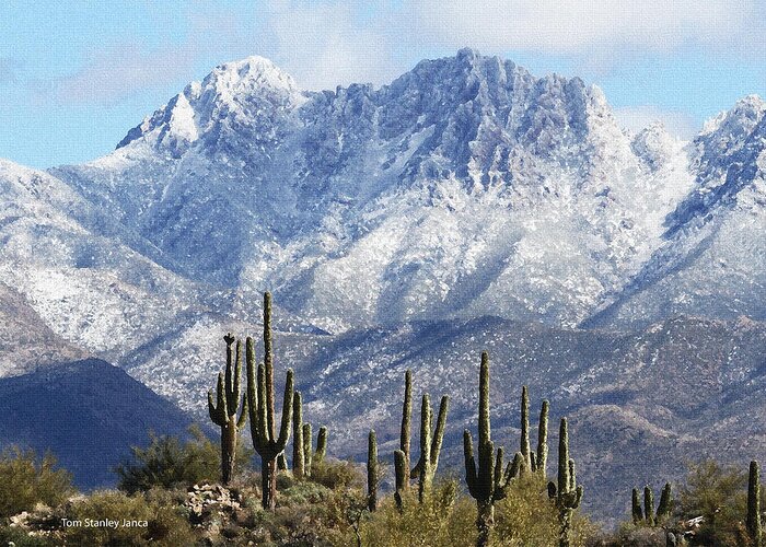Saguaros At Four Peaks With Snow Greeting Card featuring the photograph Saguaros At Four Peaks With Snow by Tom Janca