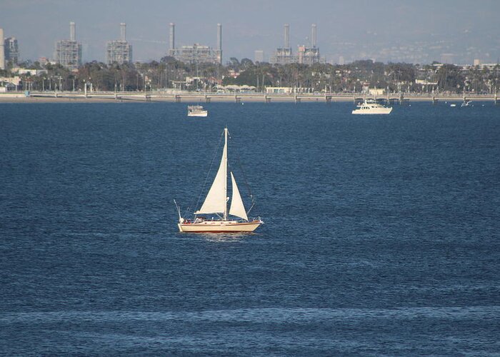 Sailboat Greeting Card featuring the photograph Sailboat on the Pacific in Long Beach by Colleen Cornelius
