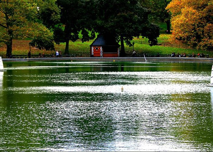 Sailboat Pond Greeting Card featuring the photograph Sailboat Pond in Central Park Afternoon by Christopher J Kirby
