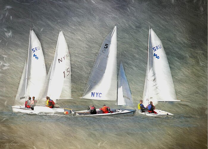 Sail Boats Greeting Card featuring the photograph Sailing Circles by Mary Clough