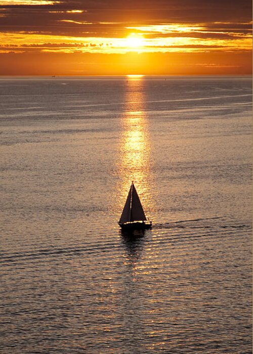 Sunset Greeting Card featuring the photograph Sailing in the sun by Terry Dadswell