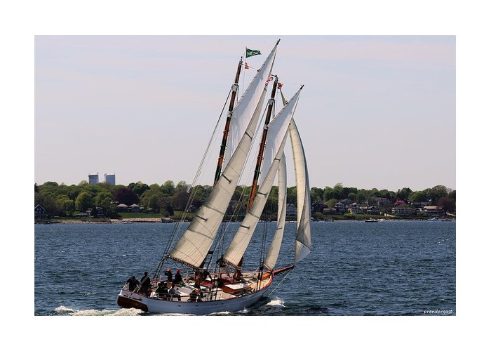 Sailboat Greeting Card featuring the photograph Sailing Newport by Tom Prendergast