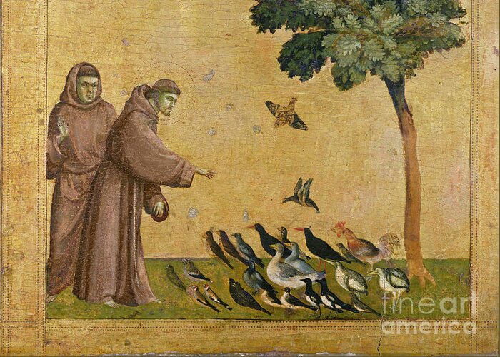 Francis Greeting Card featuring the painting Saint Francis of Assisi preaching to the birds by Giotto di Bondone 