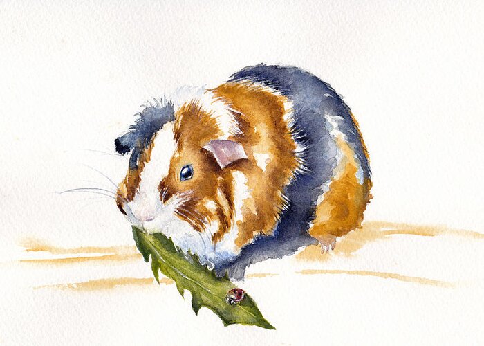 Abyssinian Guinea Pig Greeting Card featuring the painting Guinea Pig - Salad Days by Debra Hall