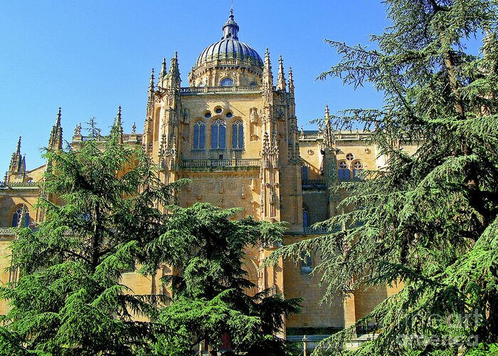 Salamanca Greeting Card featuring the photograph Salamanca New Cathedral by Nieves Nitta