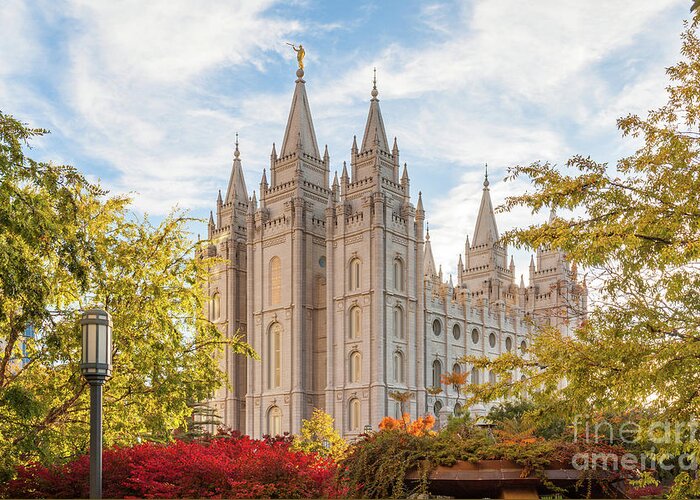 Salt Greeting Card featuring the photograph Salt Lake Temple by Bret Barton