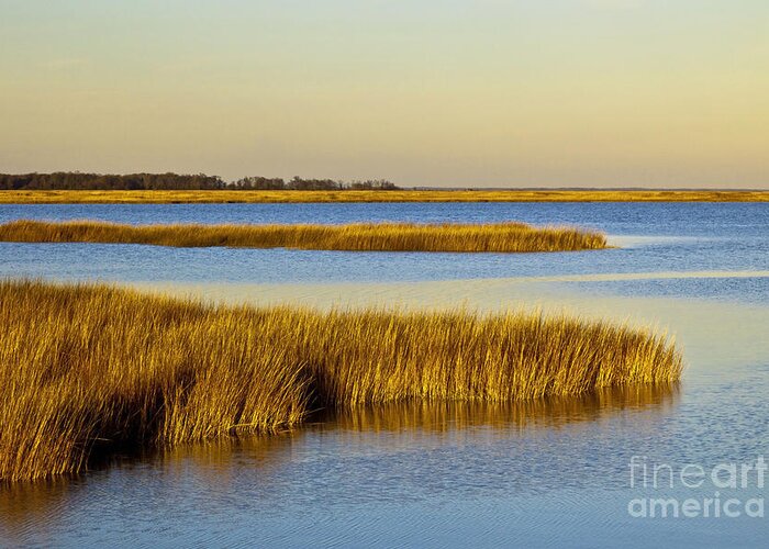 Bombay Hook Greeting Card featuring the photograph Salt Marsh In Delaware by Michael P. Gadomski