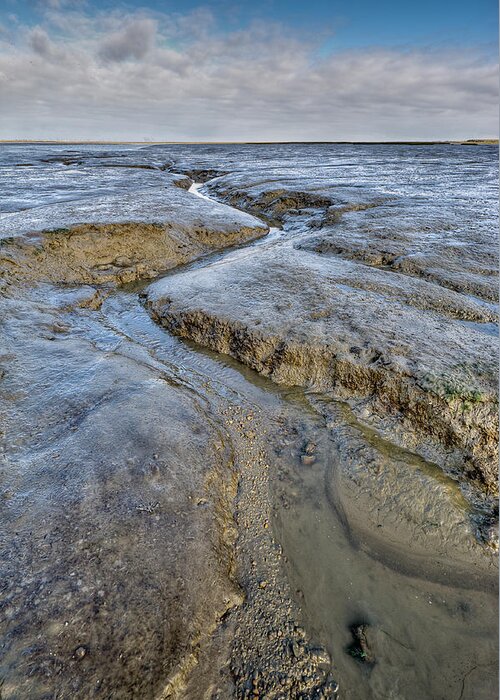 Mud Greeting Card featuring the photograph Saltings channel by Gary Eason